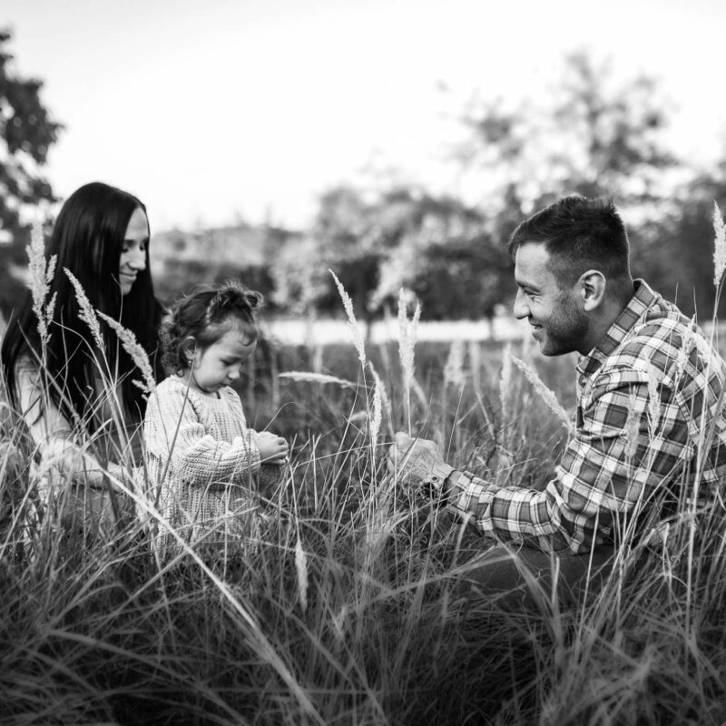 PZ_photo-2-17